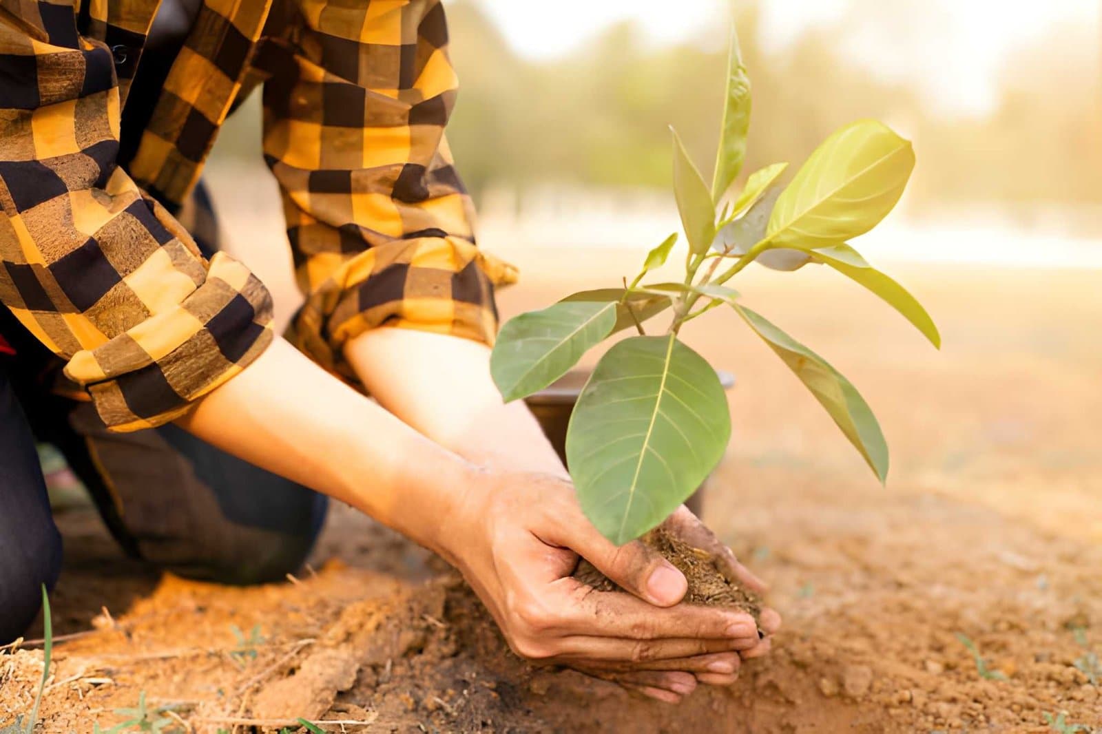 Agribusiness Hub